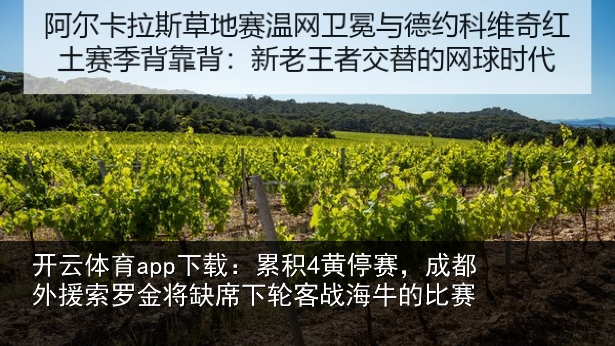 开云体育app下载：累积4黄停赛，成都外援索罗金将缺席下轮客战海牛的比赛
